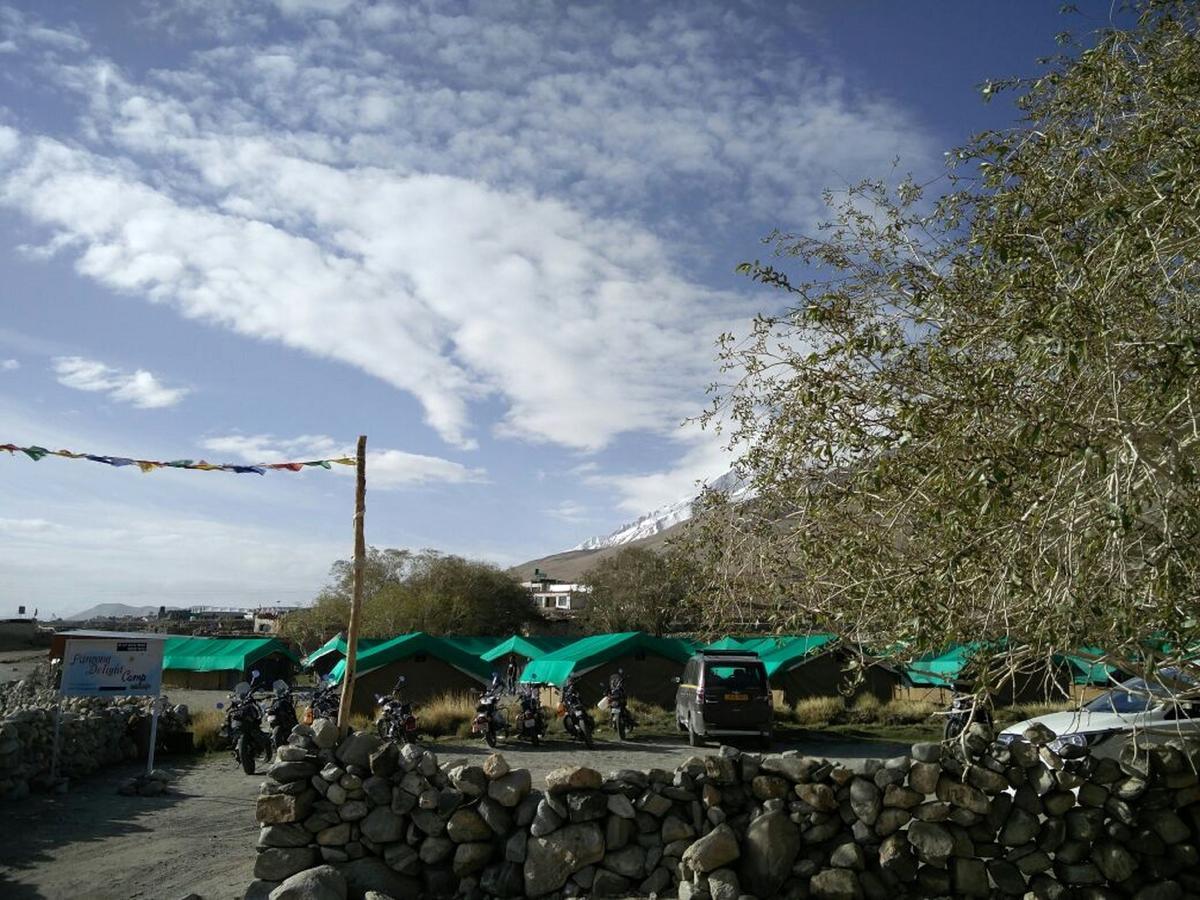 Pangong Delight Camps And Cottages Spangmik Eksteriør billede