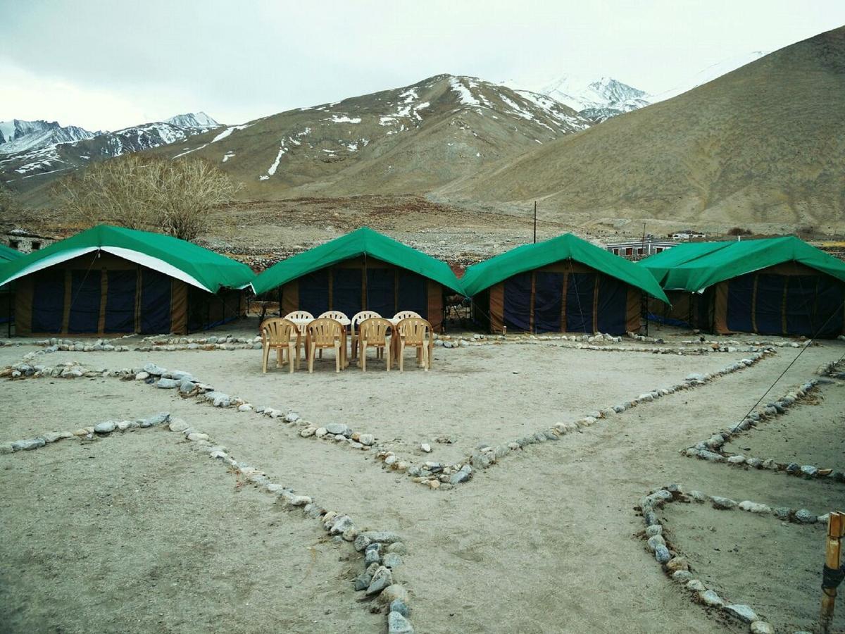 Pangong Delight Camps And Cottages Spangmik Eksteriør billede