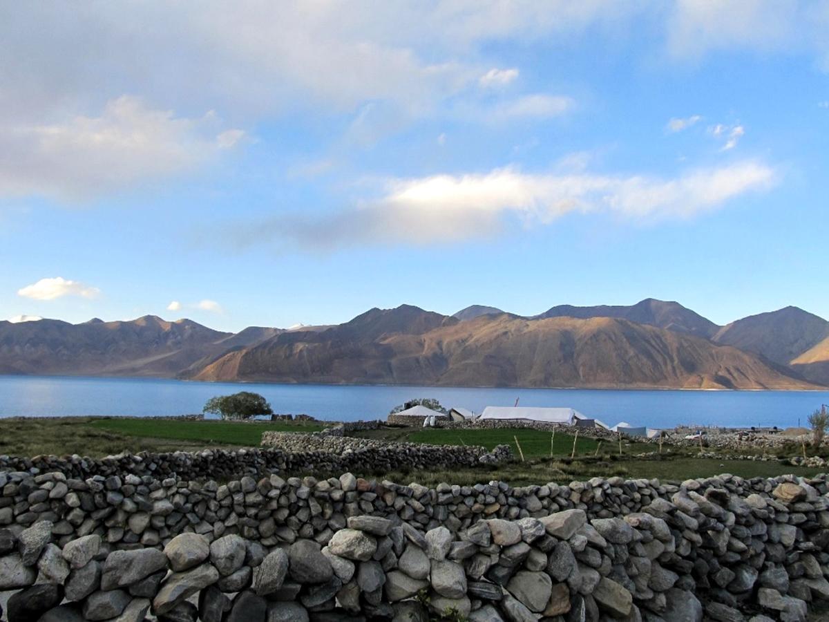 Pangong Delight Camps And Cottages Spangmik Eksteriør billede