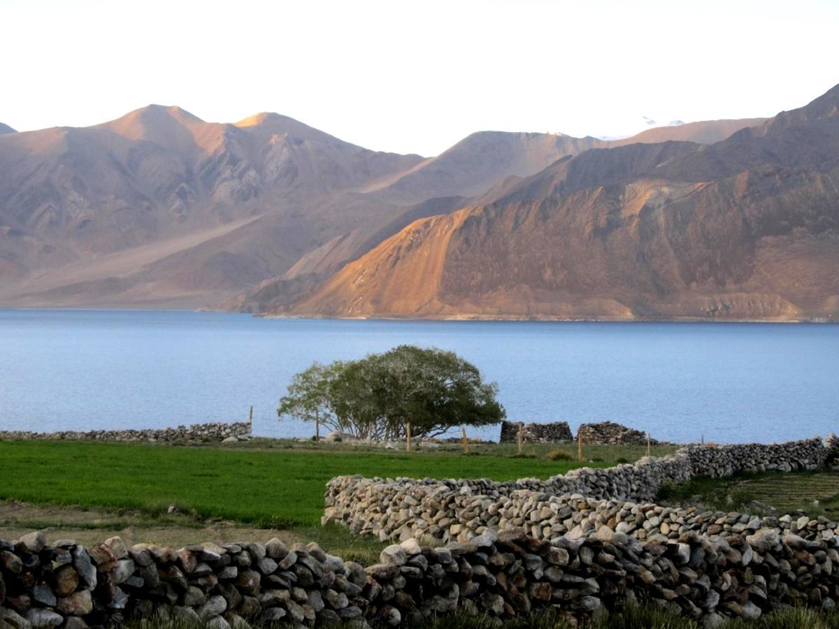 Pangong Delight Camps And Cottages Spangmik Eksteriør billede