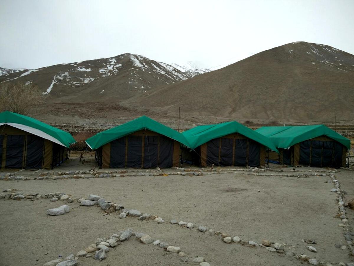 Pangong Delight Camps And Cottages Spangmik Eksteriør billede